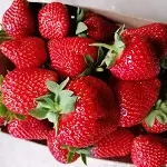 Zemeņu ogas 1 kilograma kastē